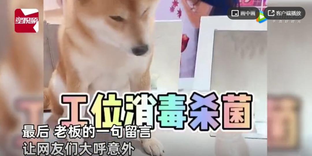 奶茶店请的员工多能挣钱吗,奶茶店请人经营赚钱吗