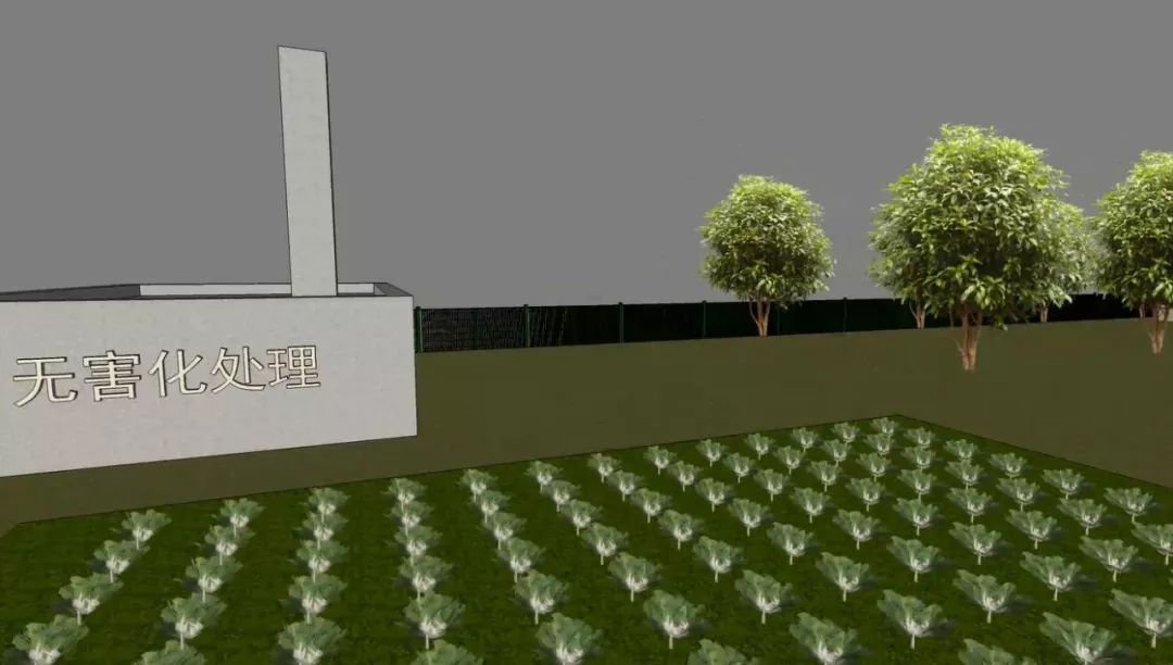 农村搞养殖的成功秘诀,未来五年适合农村生态养殖的项目