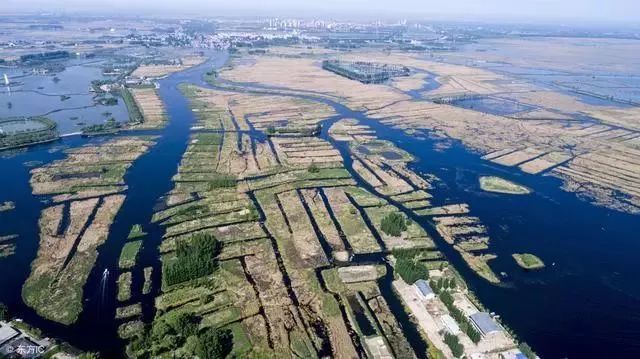 股权侠·投融资周刊第三期