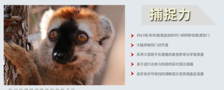 佳能6d性价比高吗,性价比最高佳能视频相机