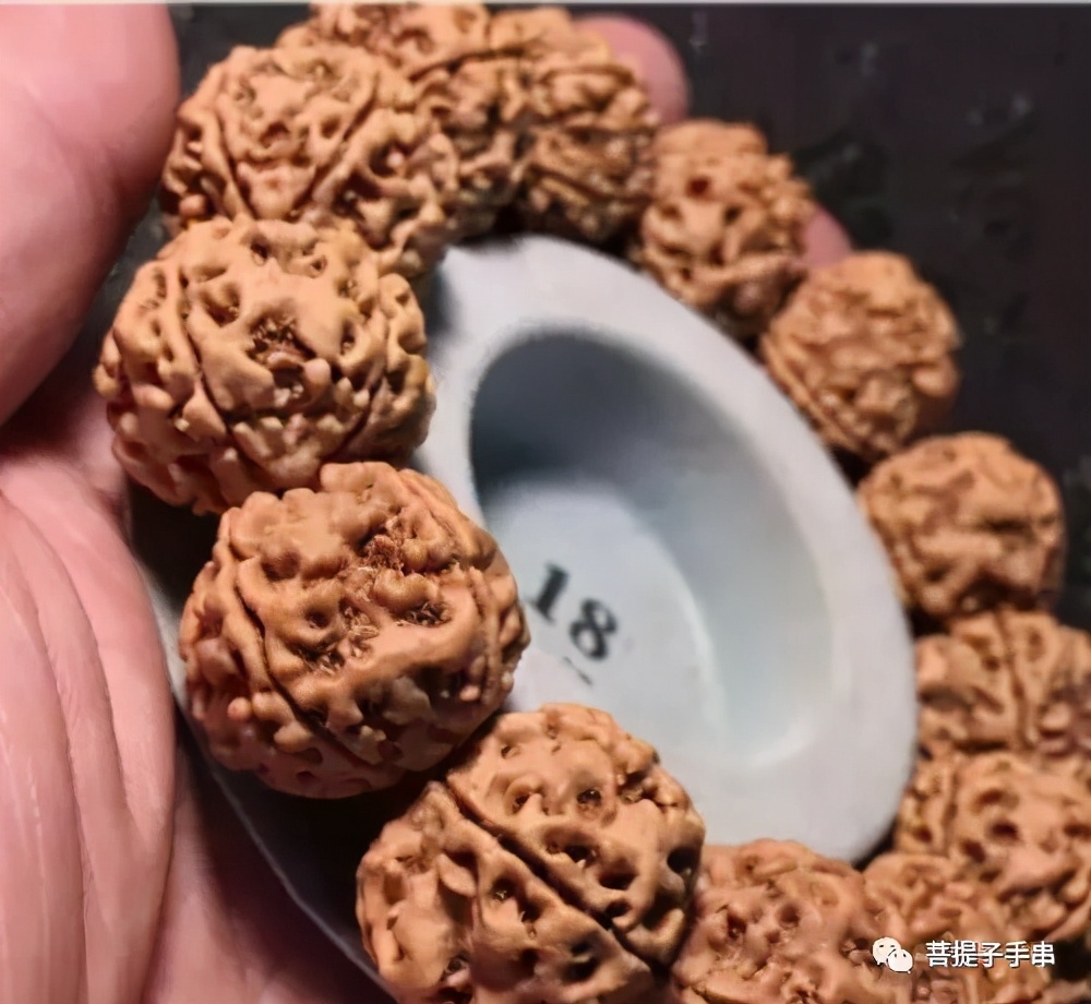 什么样的金刚菩提算上乘,尼泊尔金刚菩提和印尼菩提哪个好