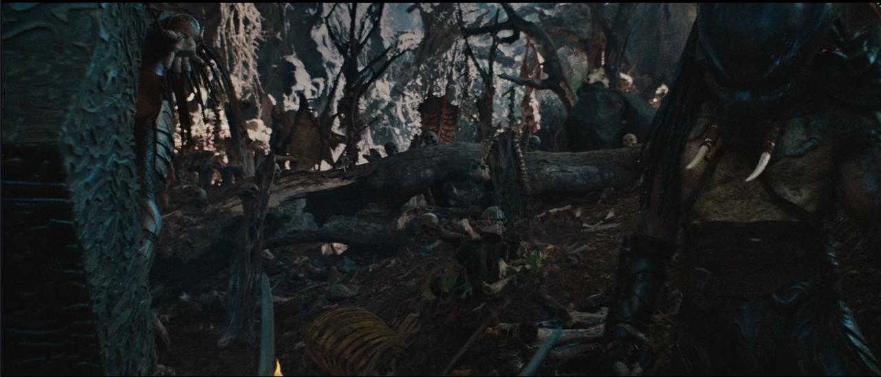 铁血战士系列解析,铁血战士形态全部解析