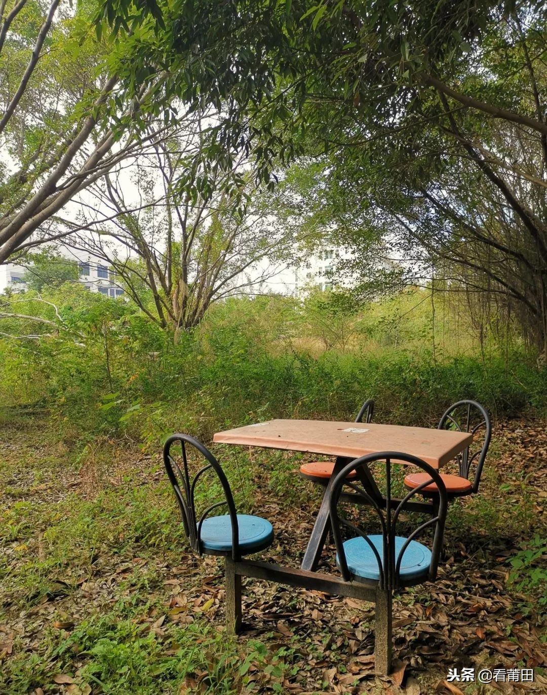 莆田快乐农庄以前的样子,莆田快乐农庄建什么