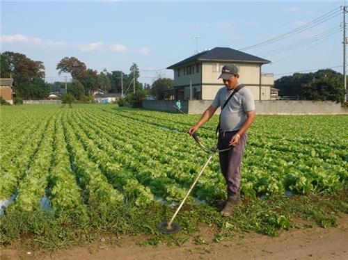 出国打黑工的条件,在外国打黑工怎么处理