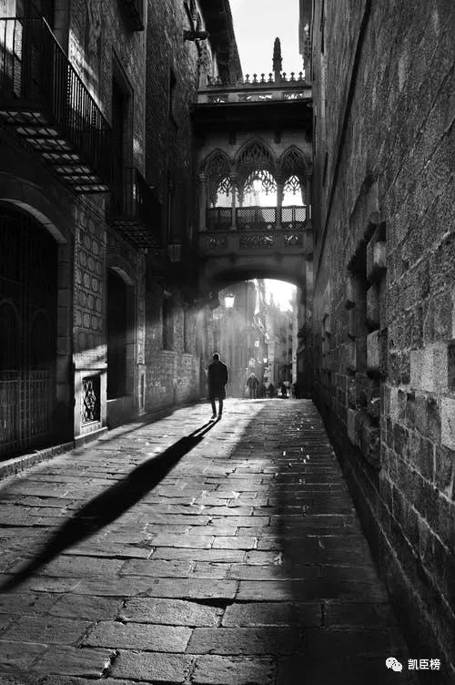 向钟老致敬论文,向钟老致敬改编版