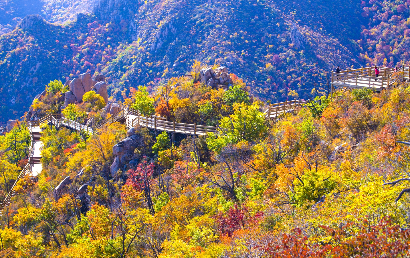 辽宁省朝阳市特色小吃饭店,辽宁各个城市的特色小吃