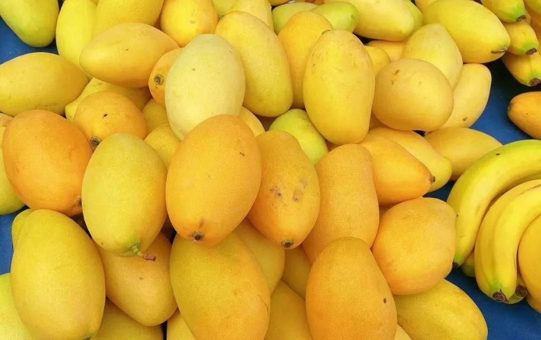 520水果花束预订,520表白玫瑰花束创意