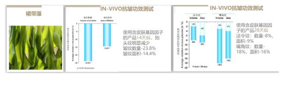 超平价抗老护肤品,油肌抗老化去细纹的水乳平价