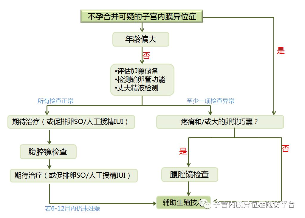 卵巢囊肿巧克力怎么形成的,卵巢长了巧克力囊肿是怎么回事