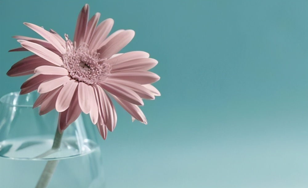 描写惬意的生活的古诗词,描写生活的诗词