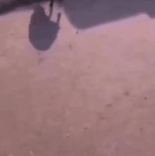 玉米地发现不明液体怎么办,玉米地发现的怪事