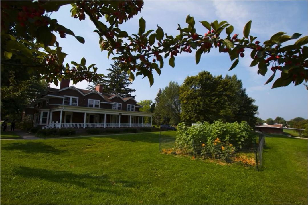 这些学校“都挺好”,新绿洲硅谷优质学校,录取迅速,住家优质!