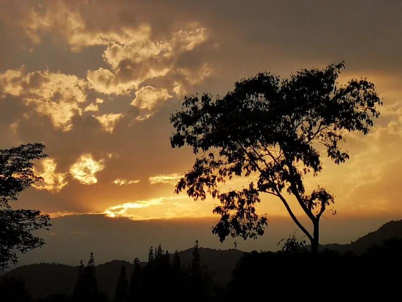 手拍世界微信公众号,手拍世界完整版视频