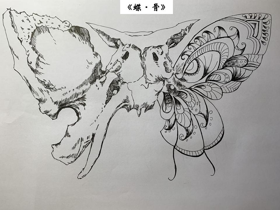 生命的故事绘本电子版,生命的故事图片