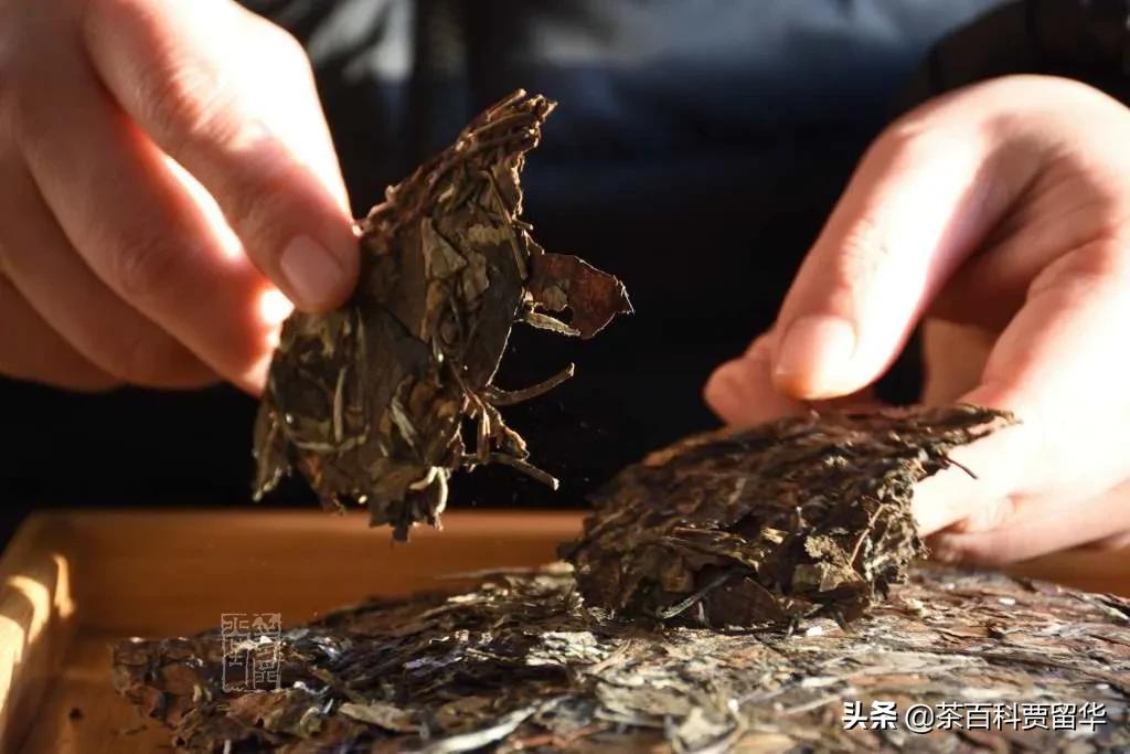 大红袍正山小种金骏眉白茶铁观音,白茶铁观音金骏眉