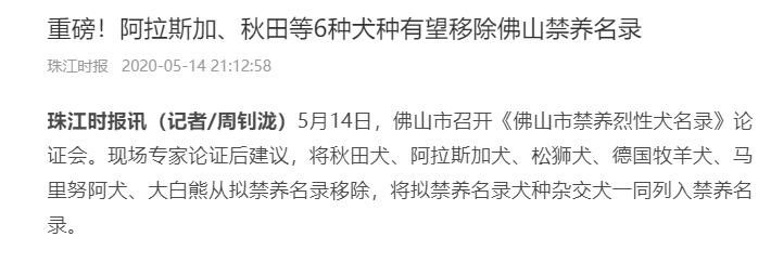 阿拉斯加雪橇犬可以养吗,阿拉斯加雪橇犬能养吗