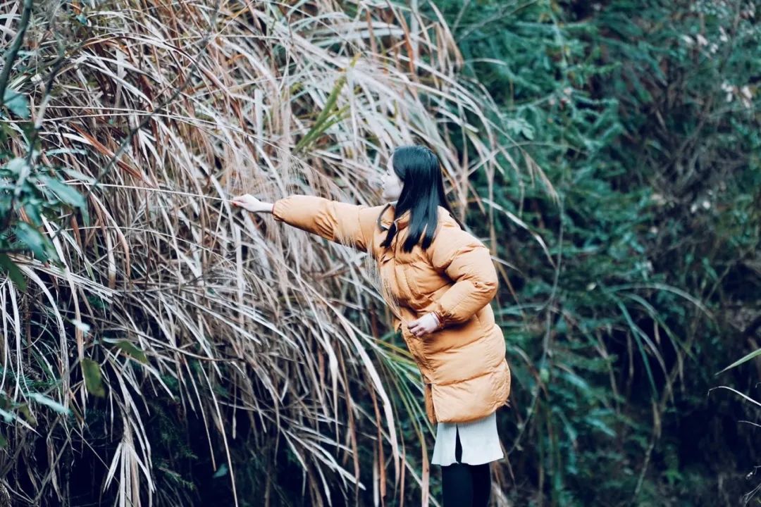 民宿管家招募,民宿管家点亮乡野生活的魔法师