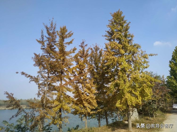 金秋旅游视频模板,国庆郯国古城游玩攻略