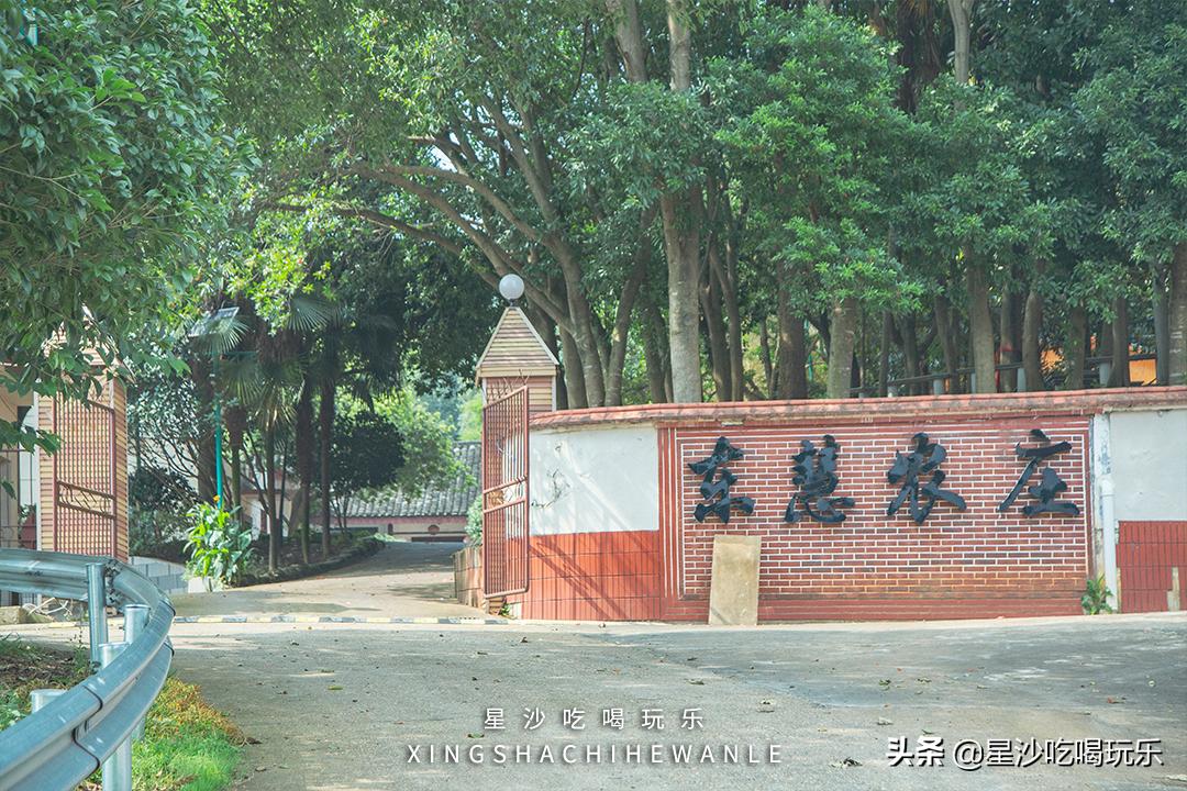 长沙小水果之乡,湖南长沙宝藏打卡地