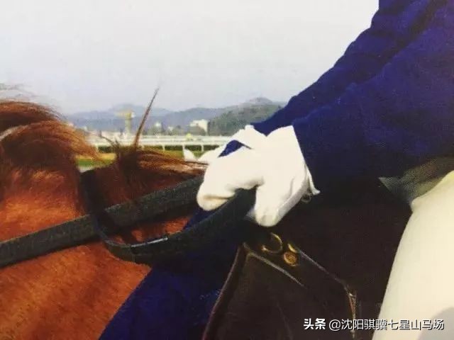 沈阳七星山马会攻略,沈阳七星山骑马攻略