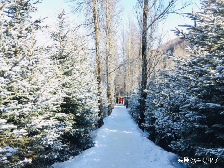 兰州市七里河区金色阳光幼儿园,金色阳光幼儿园大二班老师