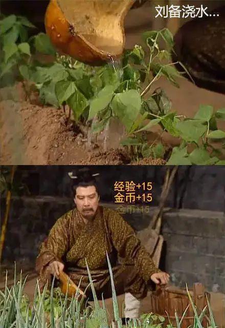 永琪：我是一个五字；尔康：我就一个鼻孔，这些弹幕是有毒吗？