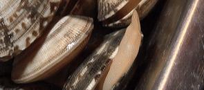 合肥步行街花甲米线,花甲米线合肥