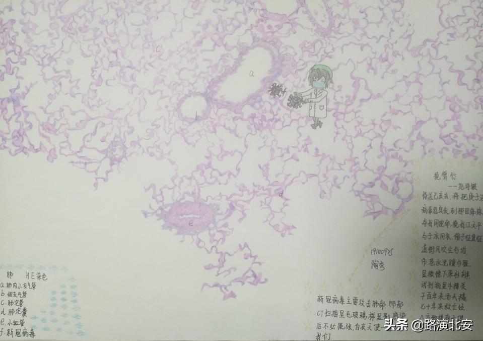 生命的故事绘本视频,生命的故事绘本绘画