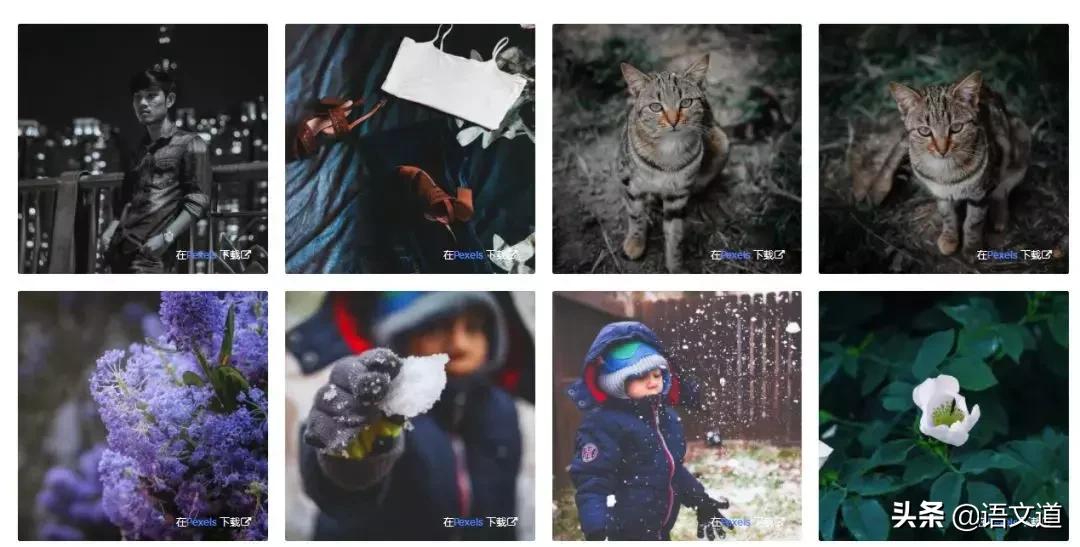 教师常用课件网站推荐,教师常用网站推荐