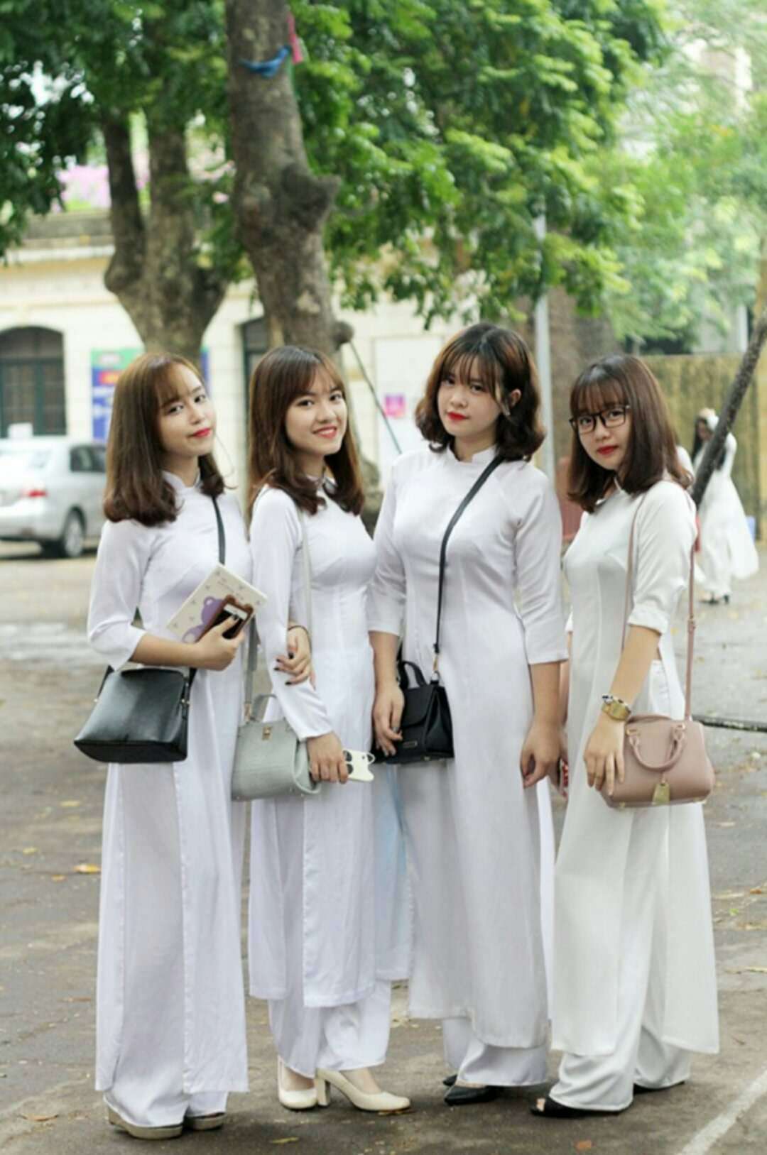 航海日记8,航海日志8