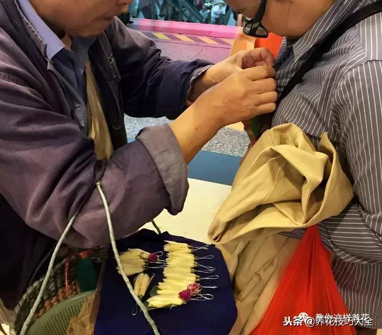 香味最好闻的十种花,一年四季都能闻到香味的四种花