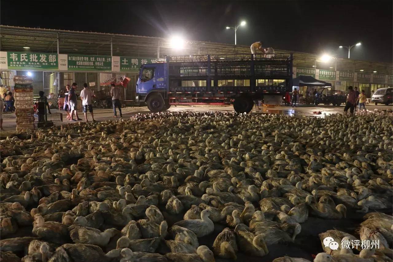 潮汕农历七月十四鬼节有哪些禁忌,农历鬼节风俗禁忌