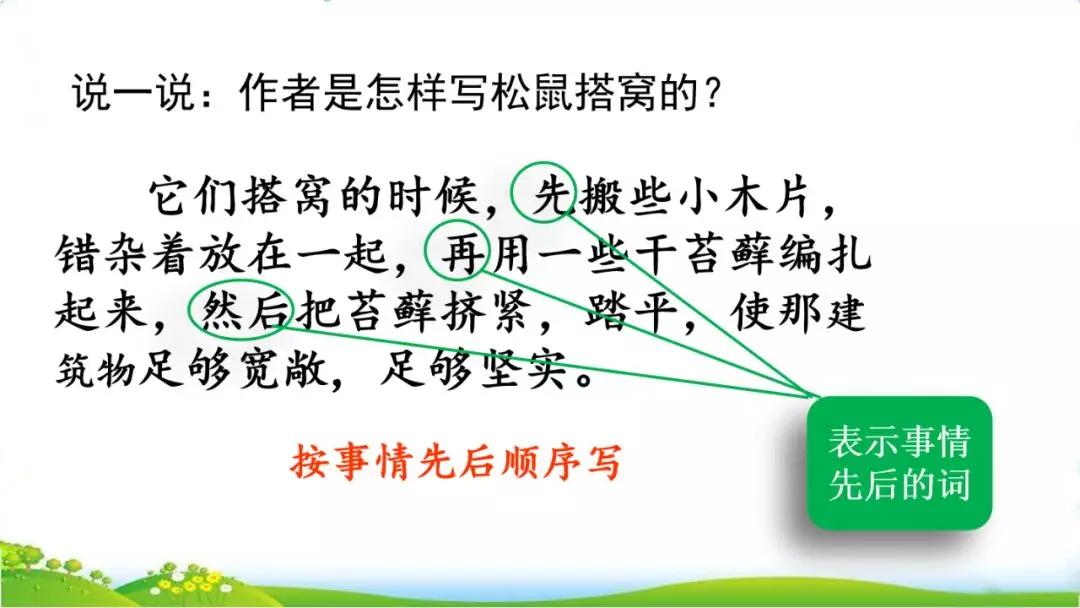 五年级语文第17课松鼠讲解,五年级上册第17课松鼠教材详解