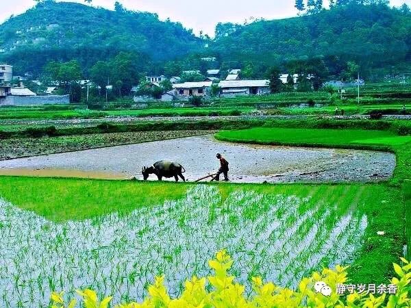 周光辉/情长更比水流长