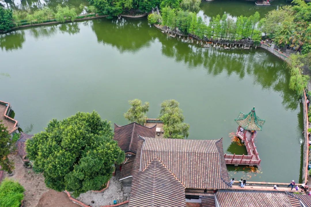 因为《寻味东莞》和岭南这家奢雅风洲际酒店，我特地去了一趟东莞