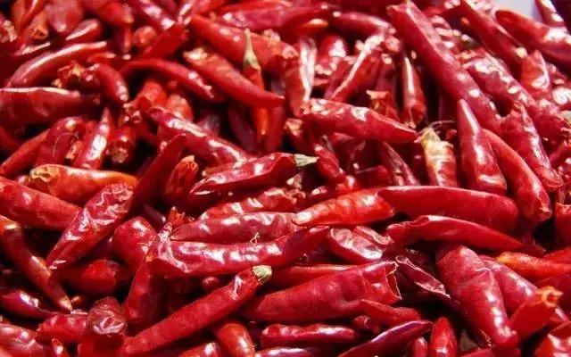 辣椒不仅是人类的调味剂，养猪过程中也有很多的妙用