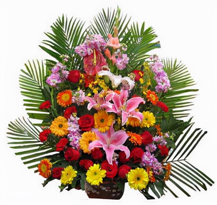 让我们葆有对工作的尊崇吧——对“性工作者”称呼的质疑