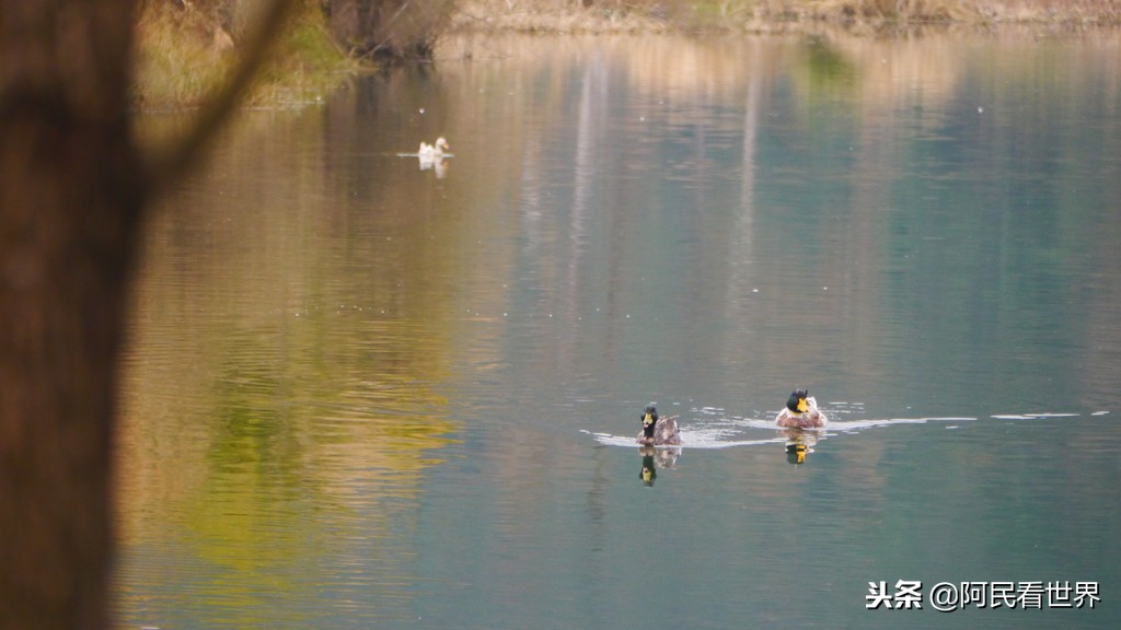云南普者黑元阳坝美6天旅游攻略,云南建水普者黑旅游路线