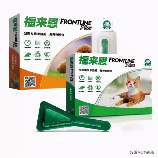 驱虫药怎么选?10个基础问题答疑