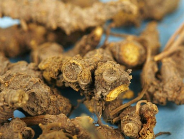 安国市中药材价格最新行情,中药材金银花最新价格行情