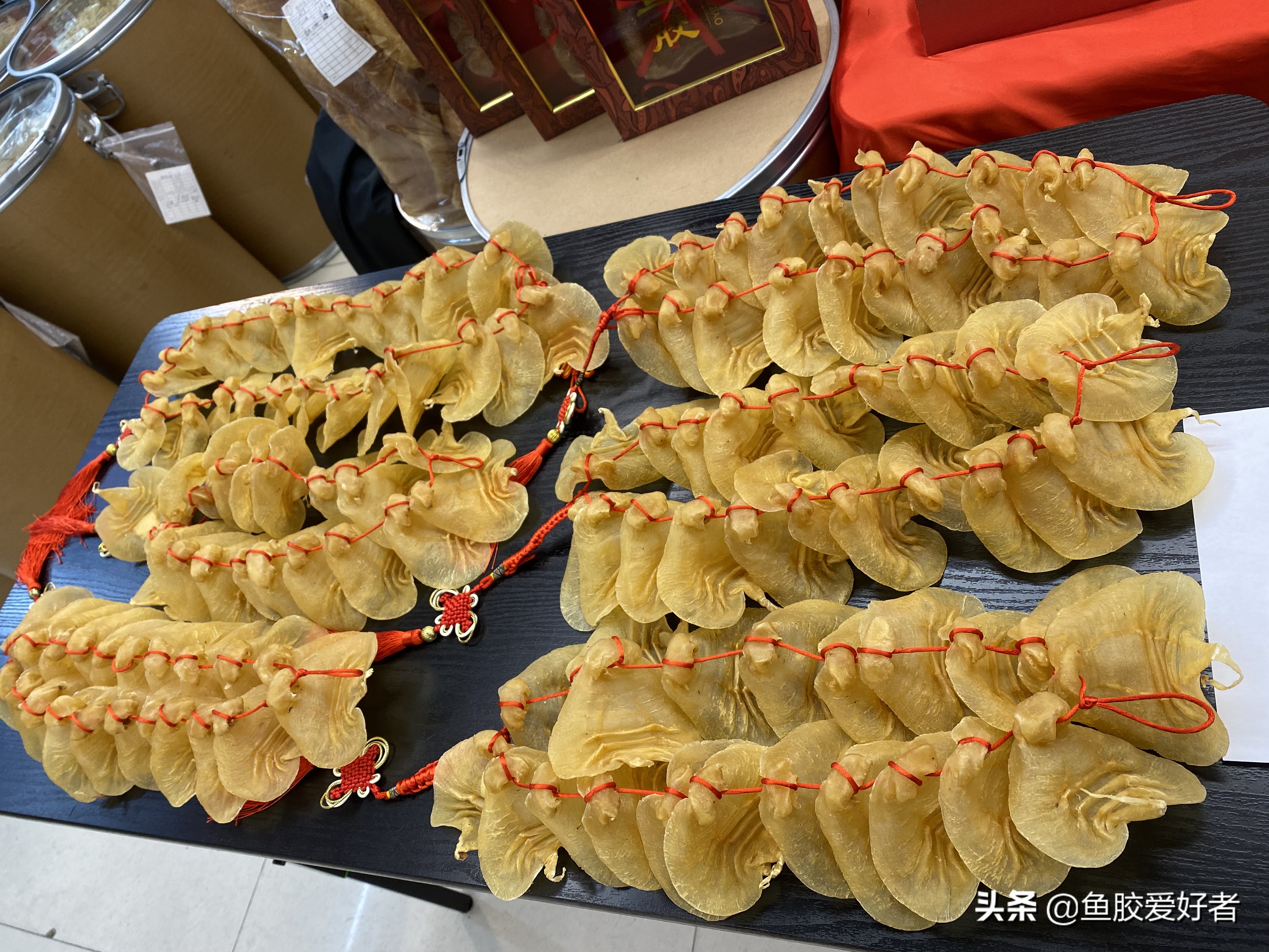 新手买鱼胶买什么好,网上买鱼胶要注意什么