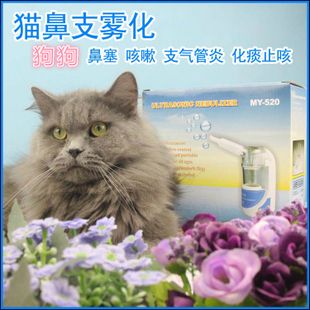 小猫得了猫鼻支用什么药,小猫得了猫鼻支大猫吃什么