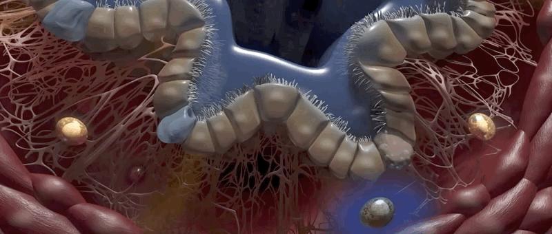 哮喘的发病原理,哮喘科普文章作品简介