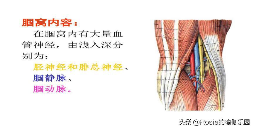 盘坐后腿疼,盘膝坐后直立起来腿痛