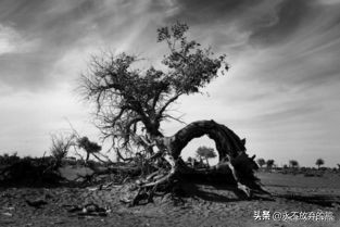 “轮椅作家”方华清:路长情更长