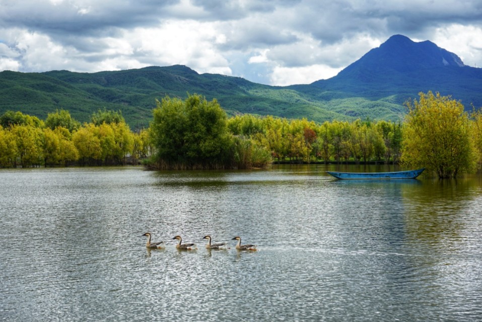 最美的季节遇见最美的你 (最美的季节遇见最美的你散文)