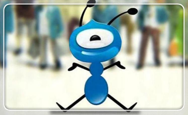 支付宝借款与信用卡借款,支付宝除了借呗花呗还有哪些贷款