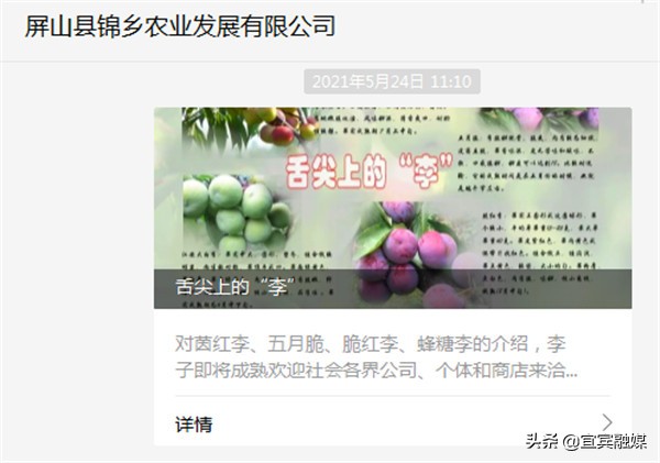 李好四川,李好四川人