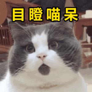 天津有轨电车线路图,天津还保留有轨电车路线运行吗