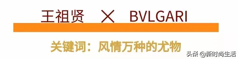 林青霞袁咏仪张曼玉,林青霞与袁咏仪